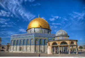 Read more about the article Palestine Waqf Fund