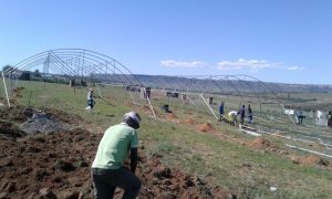 Read more about the article Awqaf and Green Crescent help to uplift Lesotho village