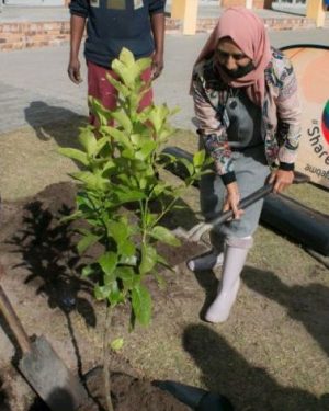 Tree Planting WAQF